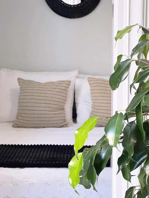 Ammoudara Apartment'S Kalymnos Town Экстерьер фото